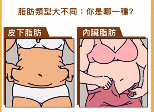 医学营养专家排名前十(著名营养专家名字)插图1
