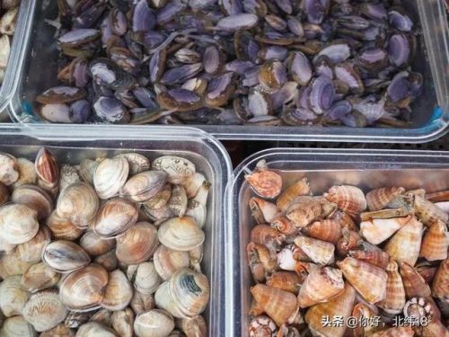 琼海清真酒店排名前十(琼海酒店五星级酒店)插图15