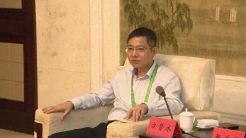 儋州重大企业排名前十(儋州龙头公司)插图16