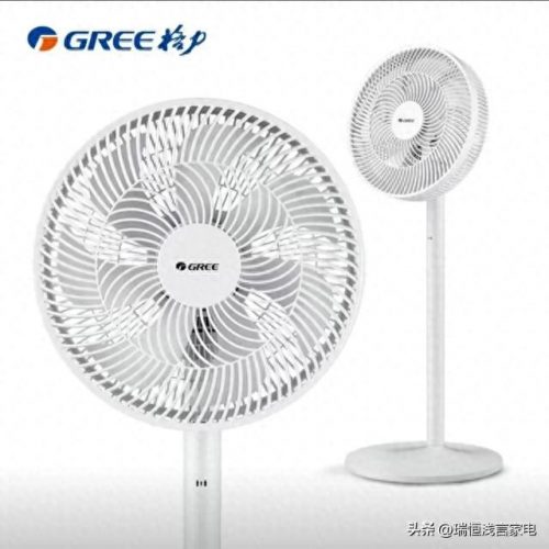 电扇排名前十的品牌(电吹风排名前十品牌)插图2