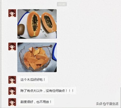 广东木瓜销量排名前十(木瓜酱菜销量最大)插图23