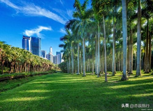 宝安避暑景点排名前十(黄山避暑景点排名)插图32