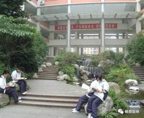 西双版纳中学排名前十(西双版纳最好的三个初中)插图25