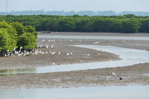国内重要水域排名前十(中国河流排名前50)插图11