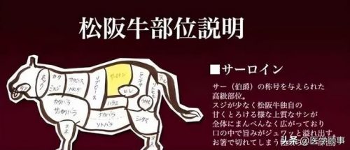 风味牛肉厂商排名前十(正宗潮汕牛肉火锅)插图1