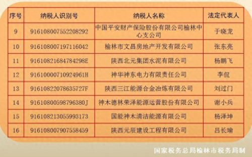 榆林企业税收排名前十(咸宁企业纳税排行)插图1