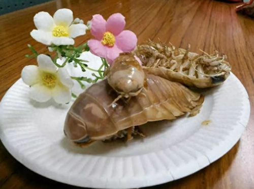 玉山美食海鲜排名前十(玉山小海鲜)插图12