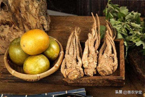 甘肃当归销量排名前十(甘肃当归粉)插图