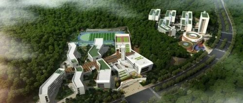 东莞外贸小学排名前十(大朗公办小学排名)插图1
