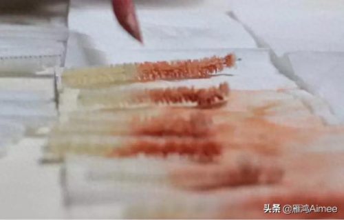 刺绣剪刀名牌排名前十(刺绣用的翘头剪刀)插图4