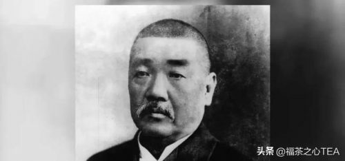 福建几大茶商排名前十(福建十大高峰)插图3