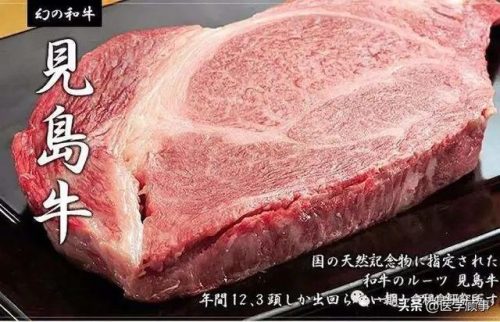 风味牛肉厂商排名前十(正宗潮汕牛肉火锅)插图45