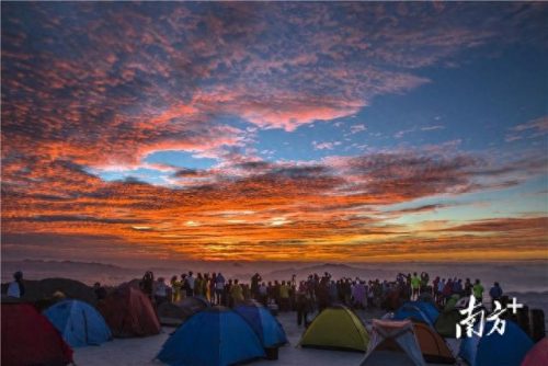 阳山出差景点排名前十(阳山小江银杏)插图