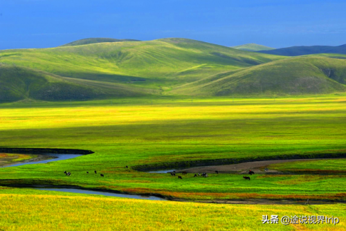 新疆各地草场排名前十(新疆草场政府每年都会给多少钱)插图20
