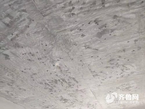 中国蜂窝楼板排名前十(集成蜂窝大板品牌)插图