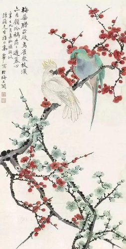 鹦鹉荔枝品种排名前十(最聪明的鹦鹉排名)插图12