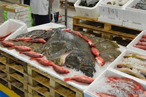 伦敦海鲜网店排名前十(英国海鲜市场排名)插图32