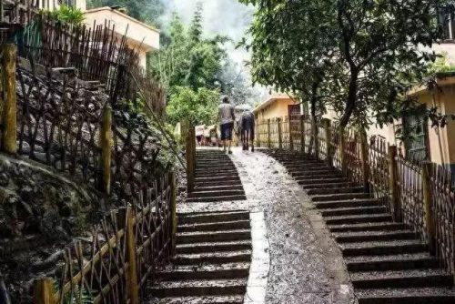 梧州乡村景区排名前十(梧州的景区排名)插图27