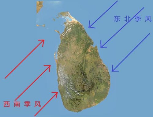 外国茶叶公司排名前十(国际茶叶品牌排行榜前10名)插图2