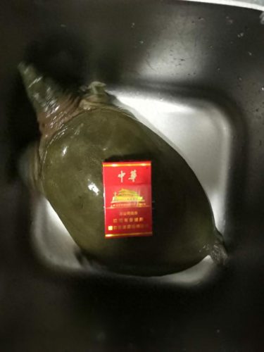 虎门钓鱼高手排名前十(河北钓鱼大师排名)插图1