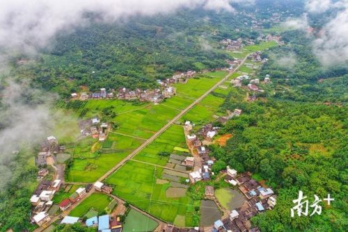梅州城东酒店排名前十(梅州豪生国际大酒店)插图 梅州城东酒店排名前十(梅州豪生国际大酒店)插图