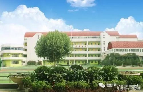 西安小学教科书排名前十(西安买学生用书在哪买)插图7