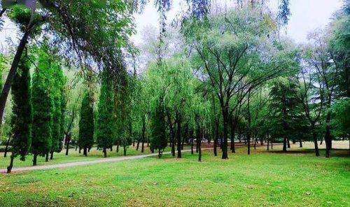济南健身商圈排名前十(济南有几大商圈)插图10