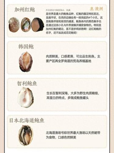 世界鲍鱼品种排名前十(鲍鱼哪个品种最贵)插图5