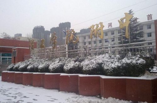 栾川复读学校排名前十(偃师复读学校都有哪些)插图3