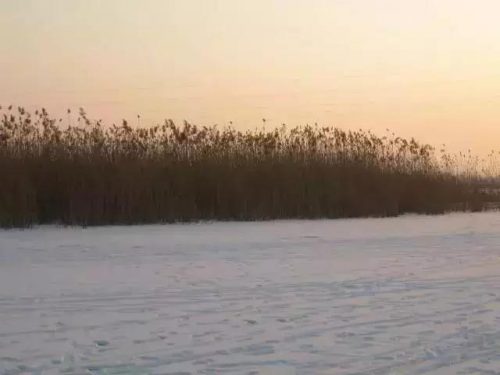 保定冬季景点排名前十(保定名胜古迹)插图13