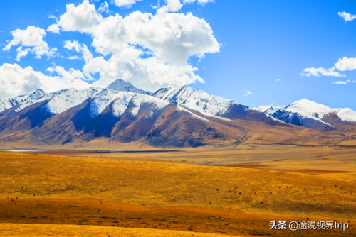 新疆各地草场排名前十(新疆草场政府每年都会给多少钱)插图12