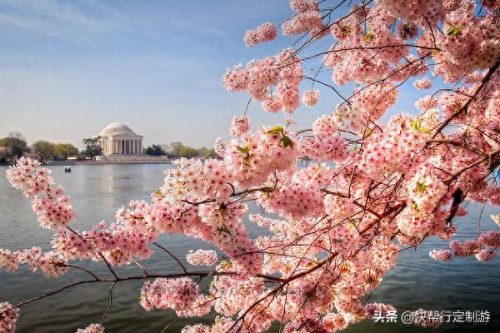 华盛顿德国餐厅排名前十(德国赫柏仕啤酒餐厅)插图15