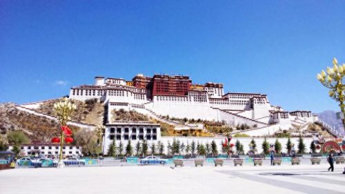 世界每年建筑排名前十(世界十大排名建筑)插图1