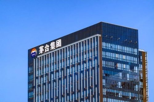 厂家排名前十的企业(中国十大公司排名)插图7