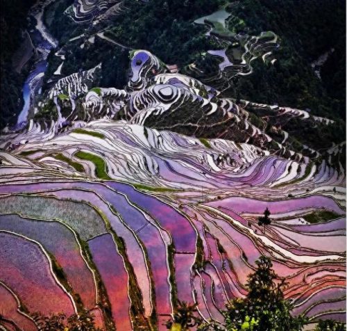 中国国土景观排名前十(油管评论中国国土面积)插图85