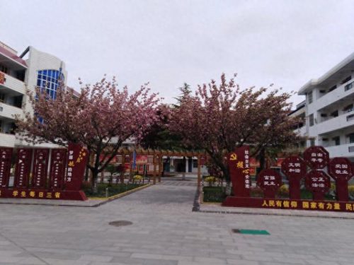 凤翔前十小学排名图(顺德大良凤翔小学排名)插图18