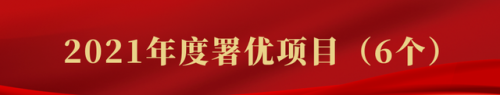 平湖审计公司排名前十(深圳平湖学校排名)插图2