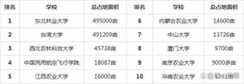 学校排名前十的学校(上海排名前十的西点蛋糕培训学校)插图4