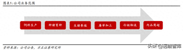 湖南仔猪产地排名前十(辽宁朝阳仔猪产地)插图