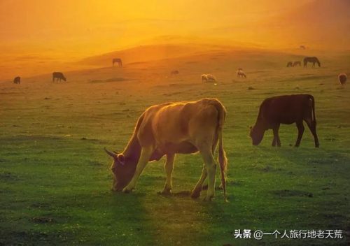 新疆最美水路排名前十(乌鲁木齐的河流有哪些)插图60
