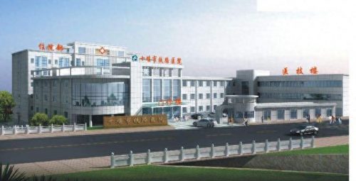 十堰旅游企业排名前十(十堰旅游收入全国排名)插图4