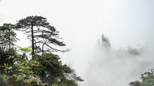 运城摄影名人排名前十(历届山西摄影家名单)插图11