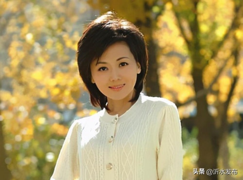 全国最矮女主播排名前十(中国人身高最矮的省)插图26
