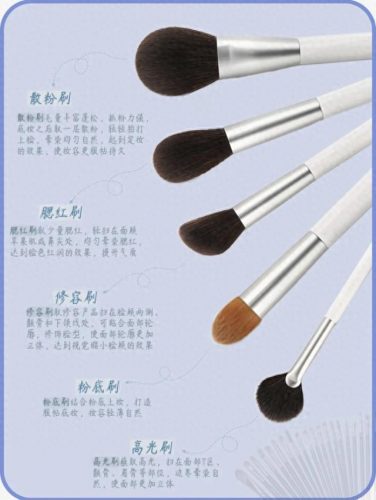 化妆刷成套排名前十(沧州化妆刷为什么有名)插图1