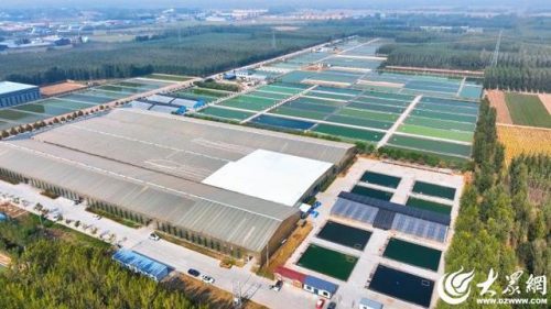 锦鲤养殖企业排名前十(锦鲤什么品种好)插图1