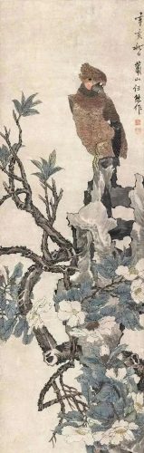 鹦鹉荔枝品种排名前十(最聪明的鹦鹉排名)插图4