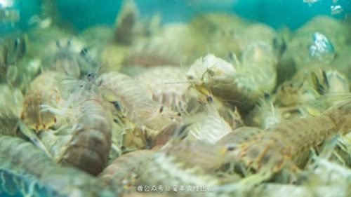 海丰本地饭店排名前十(海丰县排名前十的好吃餐厅)插图20