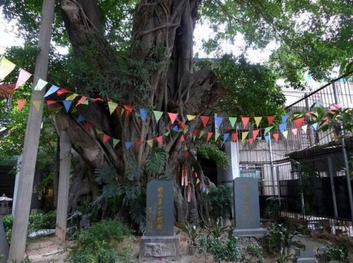 晋江道教道观排名前十(道教道场)插图14