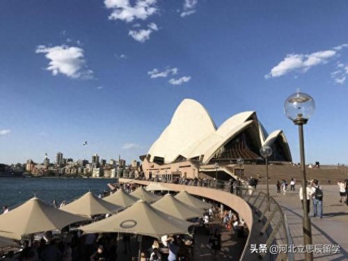 悉尼本地书店排名前十(长沙最大书店排名)插图