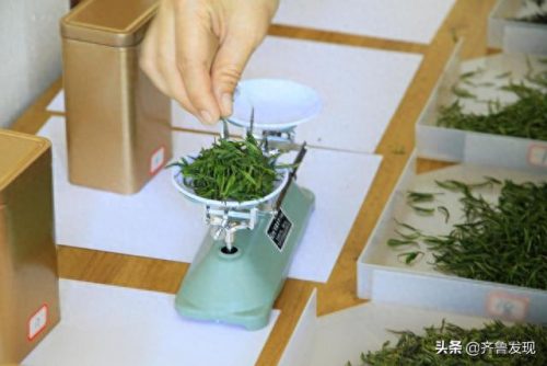 青岛特级茶叶排名前十(崂山茶叶排名前十名)插图1